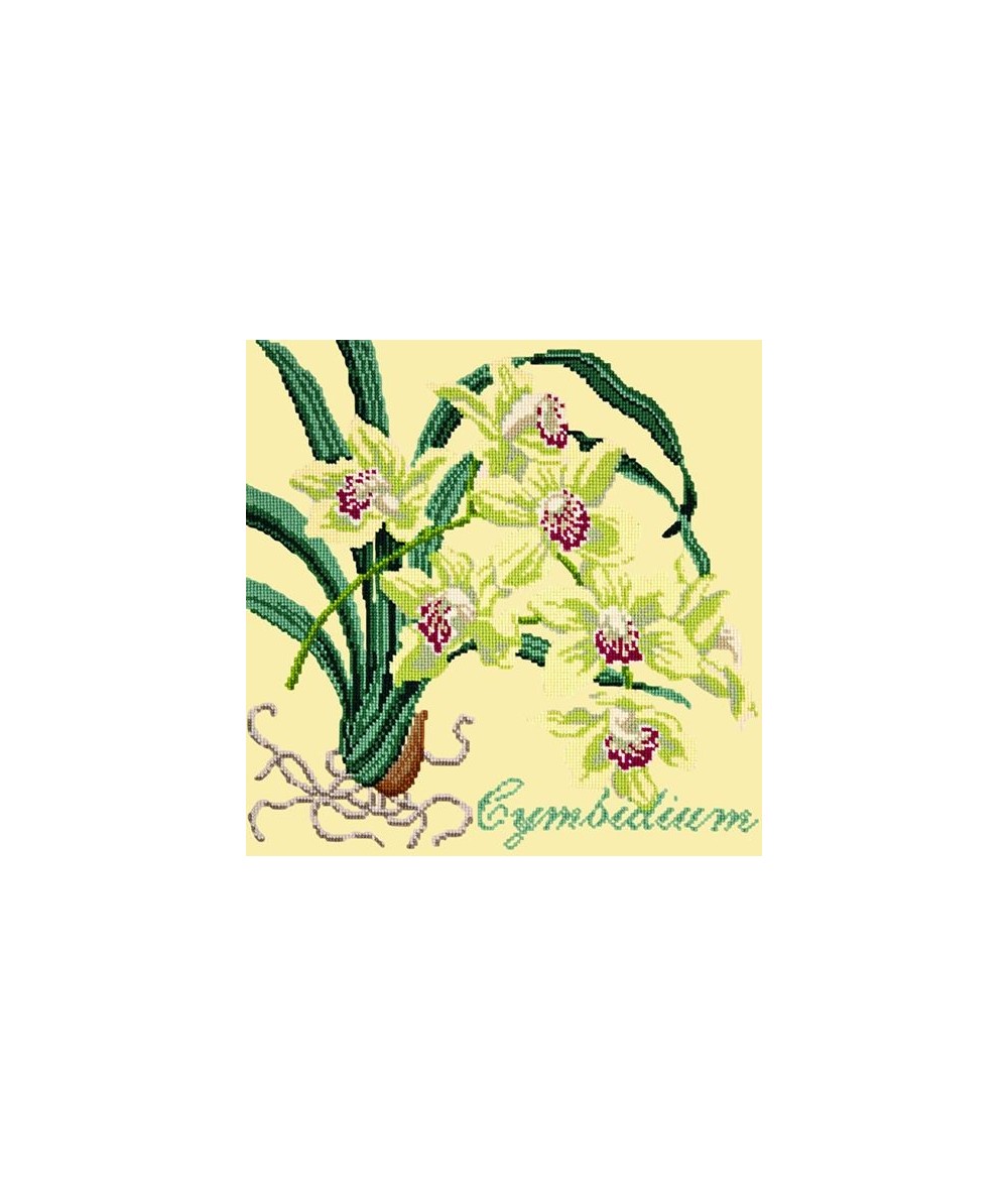 Elizabeth Bradley, Exotics, CYMBIDIUM ORCHID - 16x16 pollici Elizabeth Bradley - 10
