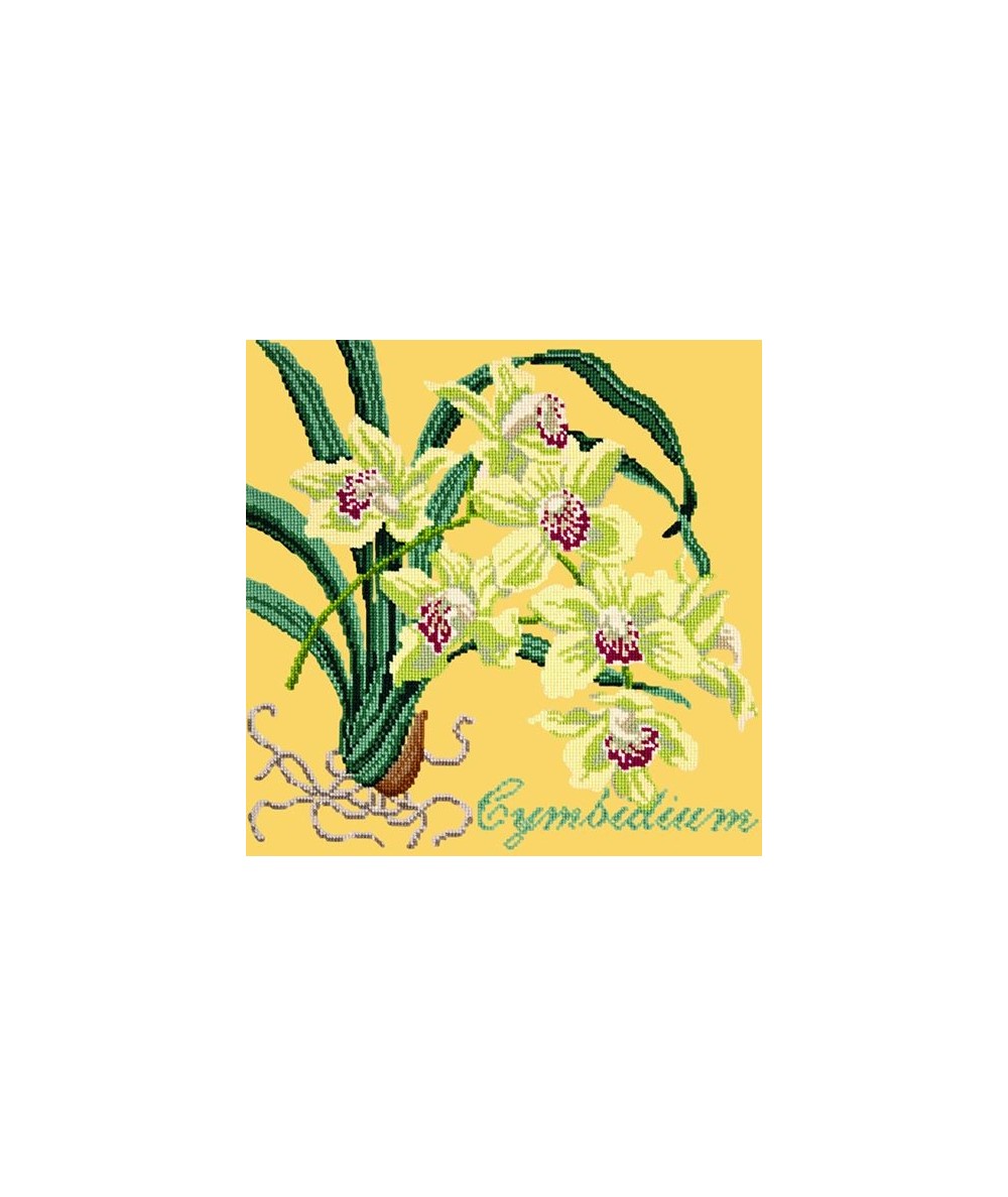 Elizabeth Bradley, Exotics, CYMBIDIUM ORCHID - 16x16 pollici Elizabeth Bradley - 11