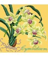 Elizabeth Bradley, Exotics, CYMBIDIUM ORCHID - 16x16 pollici Elizabeth Bradley - 11