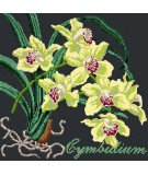 Elizabeth Bradley, Exotics, CYMBIDIUM ORCHID - 16x16 pollici Elizabeth Bradley - 18