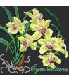 Elizabeth Bradley, Exotics, CYMBIDIUM ORCHID - 16x16 pollici Elizabeth Bradley - 18