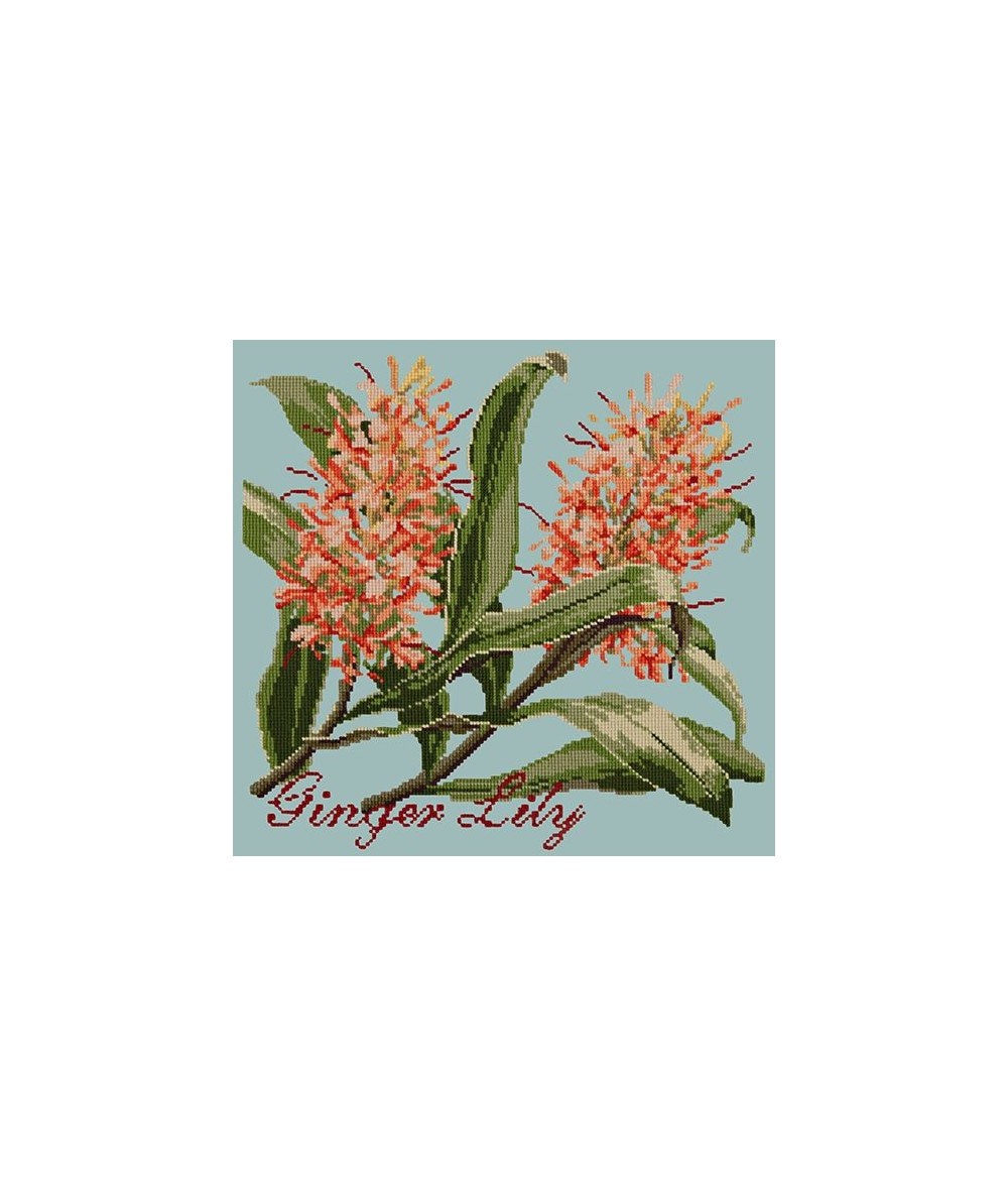 Elizabeth Bradley, Exotics, GINGER LILY - 16x16 pollici Elizabeth Bradley - 14