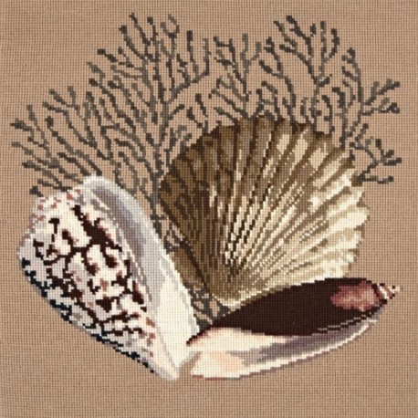 Elizabeth Bradley, Shells, FAN CORAL - 16x16 pollici Elizabeth Bradley - 2 Elizabeth Bradley, Shells, FAN CORAL - 16x16 pollici Elizabeth Bradley - 2