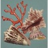 Elizabeth Bradley, Shells, RED CORAL - 16x16 pollici Elizabeth Bradley - 2