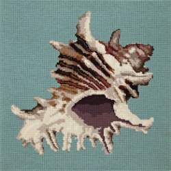 Elizabeth Bradley, Shells, SPIKY CONCH - 16x16 pollici Elizabeth Bradley - 2