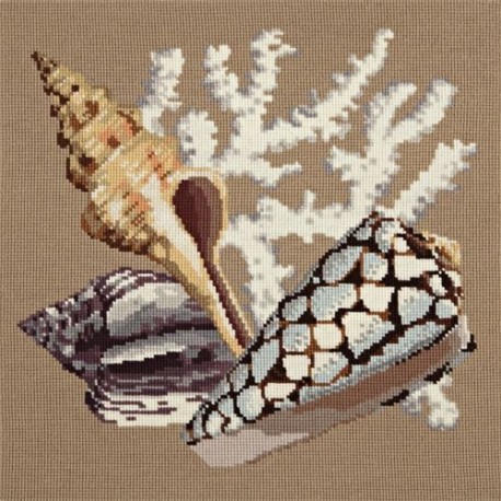 Elizabeth Bradley, Shells, STAGHORN - 16x16 pollici Elizabeth Bradley - 2 Elizabeth Bradley, Shells, STAGHORN - 16x16 pollici Elizabeth Bradley - 2