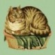 Elizabeth Bradley, Victorian Animals, CONTENTED CAT - 16x16 pollici Elizabeth Bradley - 5