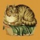 Elizabeth Bradley, Victorian Animals, CONTENTED CAT - 16x16 pollici Elizabeth Bradley - 7