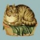 Elizabeth Bradley, Victorian Animals, CONTENTED CAT - 16x16 pollici Elizabeth Bradley - 8