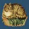 Elizabeth Bradley, Victorian Animals, CONTENTED CAT - 16x16 pollici Elizabeth Bradley - 9