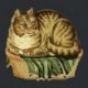 Elizabeth Bradley, Victorian Animals, CONTENTED CAT - 16x16 pollici Elizabeth Bradley - 10