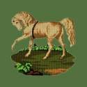 Elizabeth Bradley, Victorian Animals, PALOMINO HORSE - 16x16 pollici Elizabeth Bradley - 4