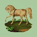 Elizabeth Bradley, Victorian Animals, PALOMINO HORSE - 16x16 pollici Elizabeth Bradley - 5