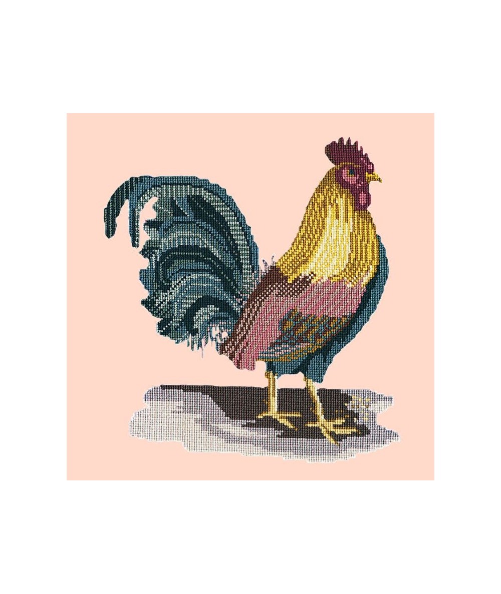Elizabeth Bradley, Victorian Animals, THE COCKEREL - 16x16 pollici Elizabeth Bradley - 3