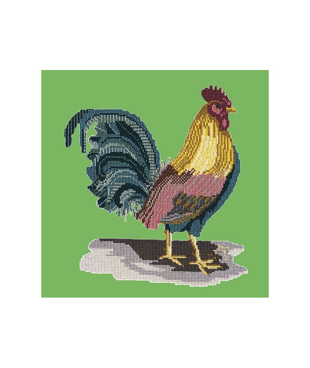 Elizabeth Bradley, Victorian Animals, THE COCKEREL - 16x16 pollici Elizabeth Bradley - 7