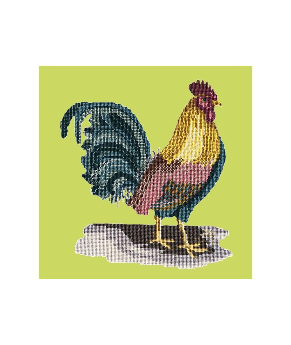 Elizabeth Bradley, Victorian Animals, THE COCKEREL - 16x16 pollici Elizabeth Bradley - 8