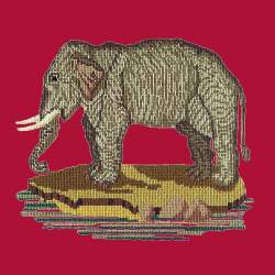 Elizabeth Bradley, Victorian Animals, THE ELEPHANT - 16x16 pollici Elizabeth Bradley - 2