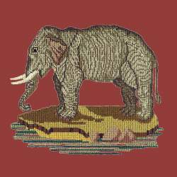 Elizabeth Bradley, Victorian Animals, THE ELEPHANT - 16x16 pollici Elizabeth Bradley - 3