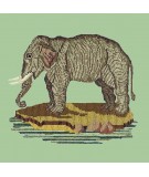 Elizabeth Bradley, Victorian Animals, THE ELEPHANT - 16x16 pollici Elizabeth Bradley - 5