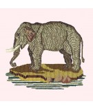 Elizabeth Bradley, Victorian Animals, THE ELEPHANT - 16x16 pollici Elizabeth Bradley - 6