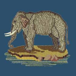 Elizabeth Bradley, Victorian Animals, THE ELEPHANT - 16x16 pollici Elizabeth Bradley - 9