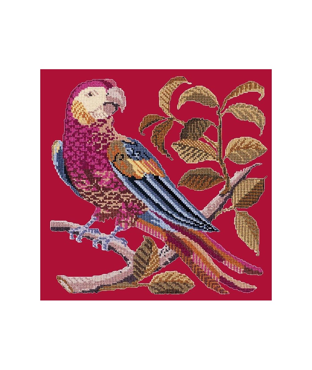 Elizabeth Bradley, Victorian Animals, PETE THE PARROT - 16x16 pollici Elizabeth Bradley - 2 Elizabeth Bradley, Victorian Animals, PETE THE PARROT - 16x16 pollici Elizabeth Bradley - 2