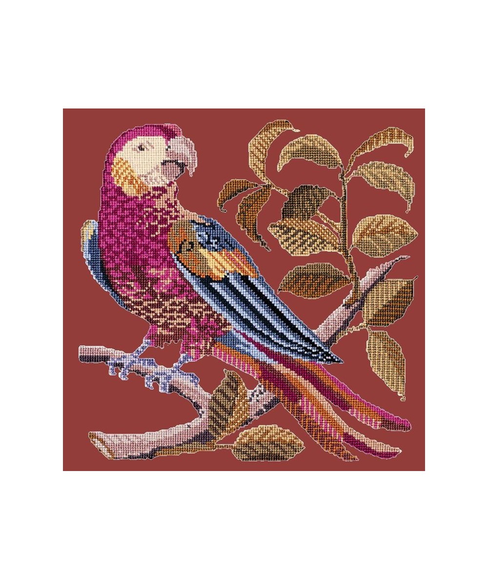 Elizabeth Bradley, Victorian Animals, PETE THE PARROT - 16x16 pollici Elizabeth Bradley - 3