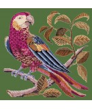 Elizabeth Bradley, Victorian Animals, PETE THE PARROT - 16x16 pollici Elizabeth Bradley - 4