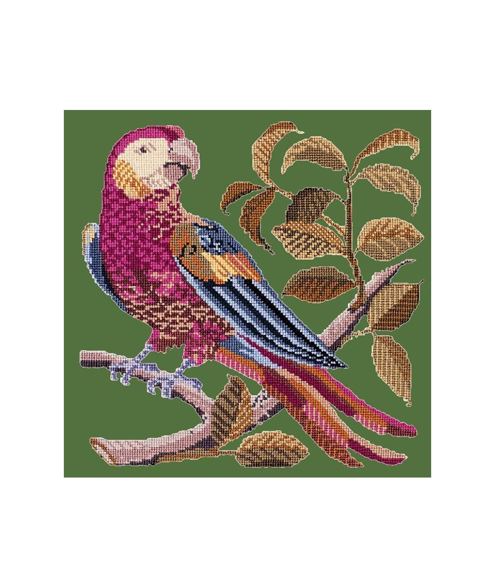 Elizabeth Bradley, Victorian Animals, PETE THE PARROT - 16x16 pollici Elizabeth Bradley - 4