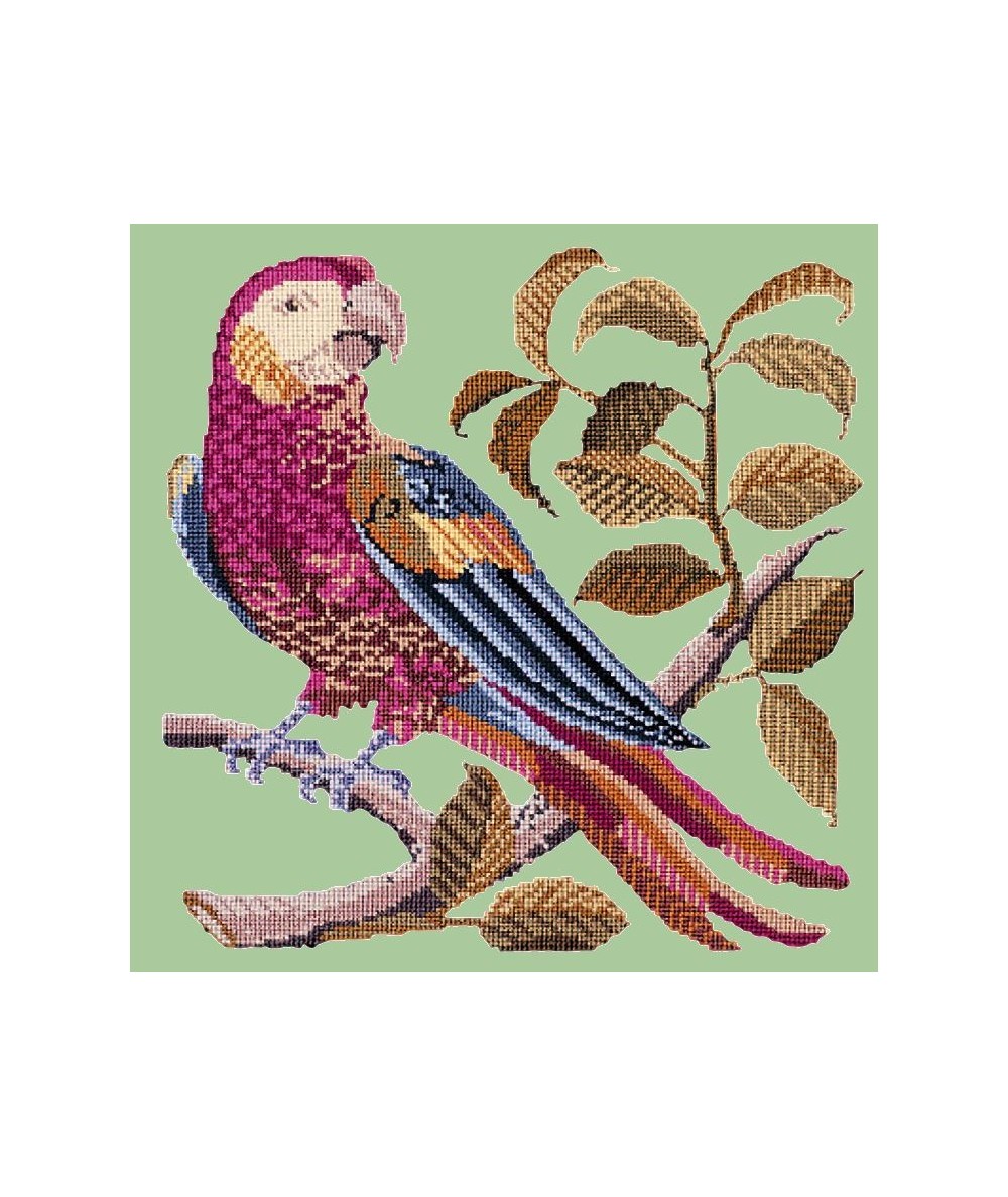 Elizabeth Bradley, Victorian Animals, PETE THE PARROT - 16x16 pollici Elizabeth Bradley - 5