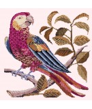 Elizabeth Bradley, Victorian Animals, PETE THE PARROT - 16x16 pollici Elizabeth Bradley - 6