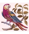 Elizabeth Bradley, Victorian Animals, PETE THE PARROT - 16x16 pollici Elizabeth Bradley - 6