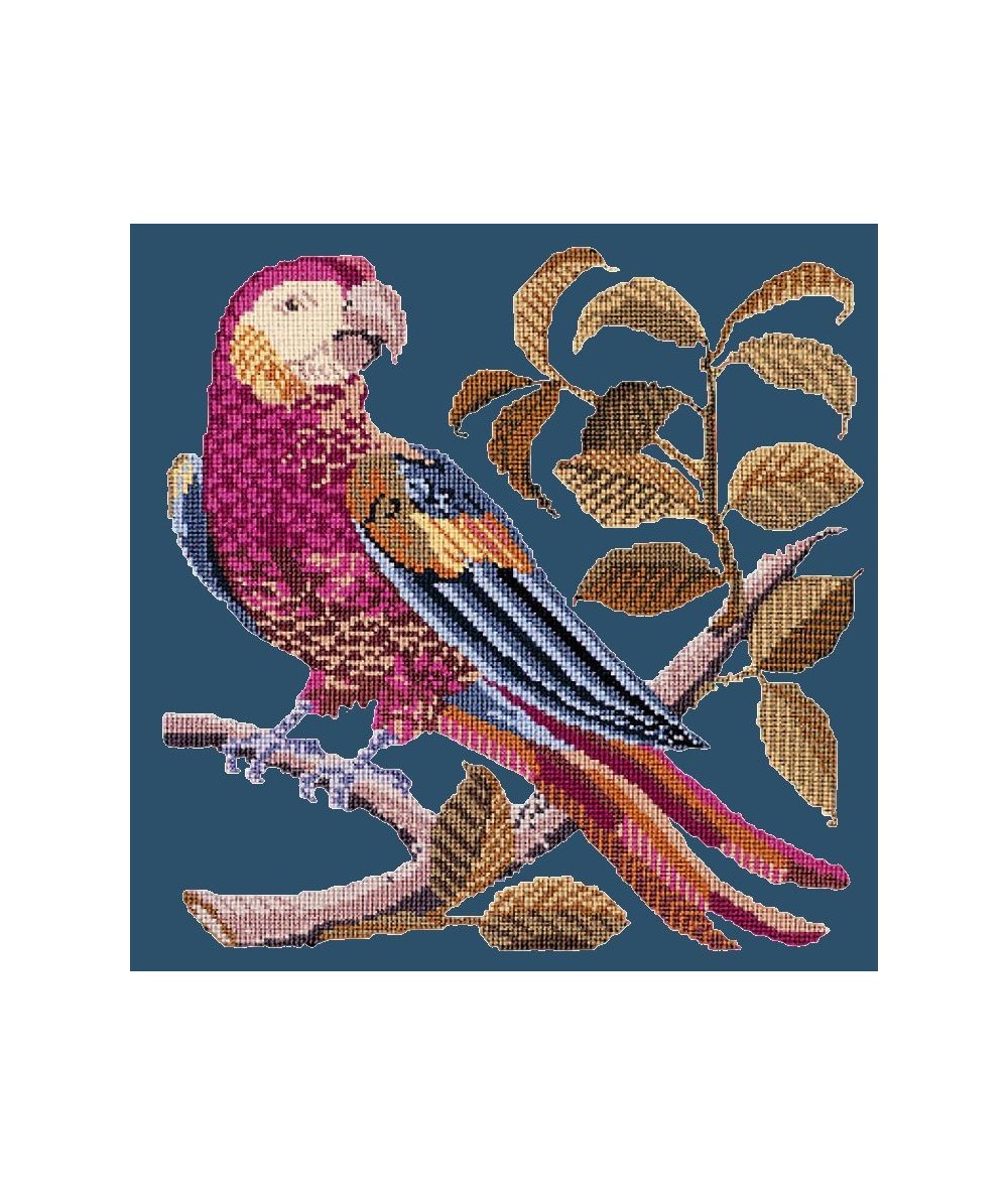 Elizabeth Bradley, Victorian Animals, PETE THE PARROT - 16x16 pollici Elizabeth Bradley - 9