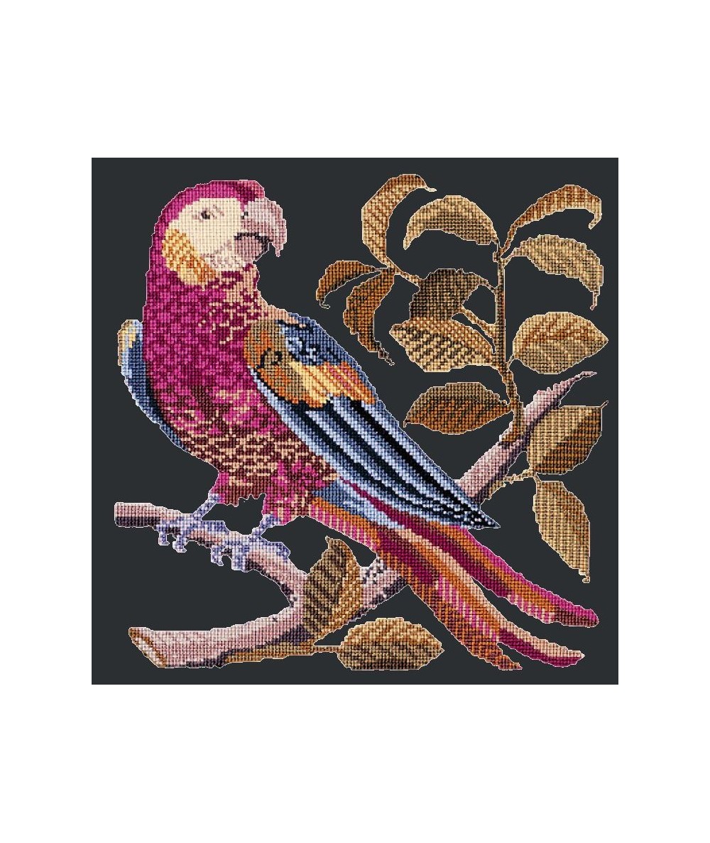 Elizabeth Bradley, Victorian Animals, PETE THE PARROT - 16x16 pollici Elizabeth Bradley - 10
