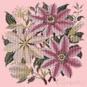 Elizabeth Bradley, Climbing Flower, CLEMATIS - 16x16 pollici Elizabeth Bradley - 2