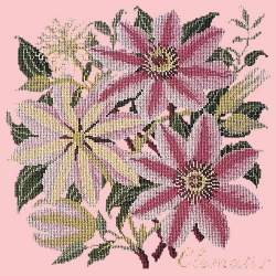 Elizabeth Bradley, Climbing Flower, CLEMATIS - 16x16 pollici Elizabeth Bradley - 2