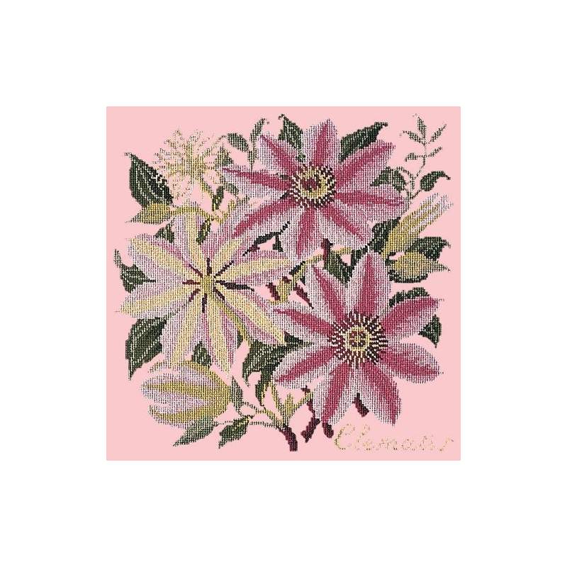 Elizabeth Bradley, Climbing Flower, CLEMATIS - 16x16 pollici Elizabeth Bradley - 2 Elizabeth Bradley, Climbing Flower, CLEMATIS - 16x16 pollici Elizabeth Bradley - 2