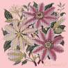 Elizabeth Bradley, Climbing Flower, CLEMATIS - 16x16 pollici Elizabeth Bradley - 2