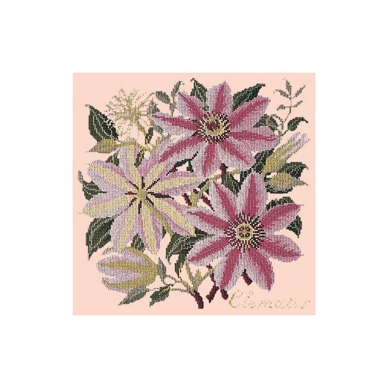 Elizabeth Bradley, Climbing Flower, CLEMATIS - 16x16 pollici Elizabeth Bradley - 3