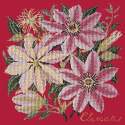 Elizabeth Bradley, Climbing Flower, CLEMATIS - 16x16 pollici Elizabeth Bradley - 4