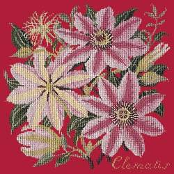 Elizabeth Bradley, Climbing Flower, CLEMATIS - 16x16 pollici Elizabeth Bradley - 4