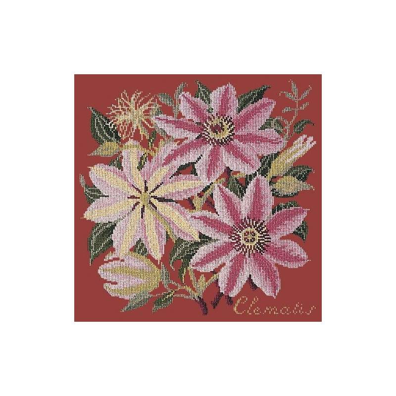 Elizabeth Bradley, Climbing Flower, CLEMATIS - 16x16 pollici Elizabeth Bradley - 5