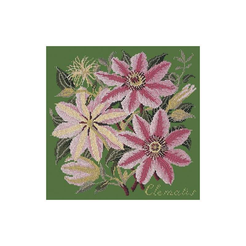 Elizabeth Bradley, Climbing Flower, CLEMATIS - 16x16 pollici Elizabeth Bradley - 6