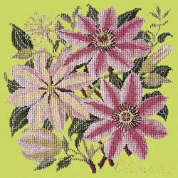 Elizabeth Bradley, Climbing Flower, CLEMATIS - 16x16 pollici Elizabeth Bradley - 8