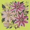 Elizabeth Bradley, Climbing Flower, CLEMATIS - 16x16 pollici Elizabeth Bradley - 8