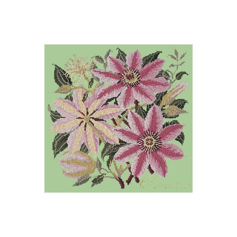 Elizabeth Bradley, Climbing Flower, CLEMATIS - 16x16 pollici Elizabeth Bradley - 9