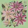 Elizabeth Bradley, Climbing Flower, CLEMATIS - 16x16 pollici Elizabeth Bradley - 9