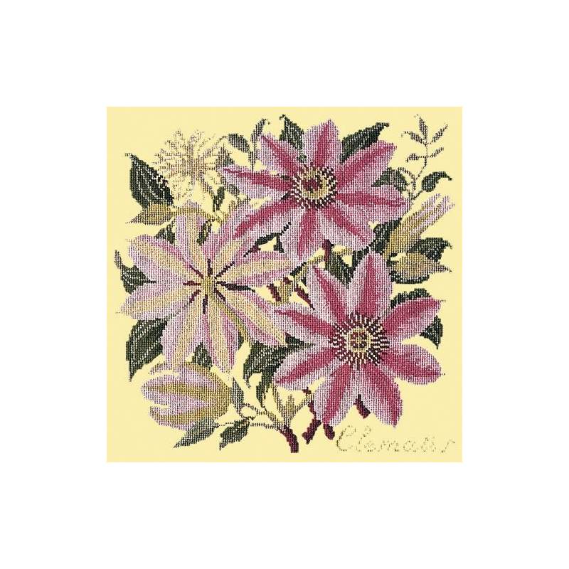Elizabeth Bradley, Climbing Flower, CLEMATIS - 16x16 pollici Elizabeth Bradley - 10