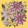 Elizabeth Bradley, Climbing Flower, CLEMATIS - 16x16 pollici Elizabeth Bradley - 11