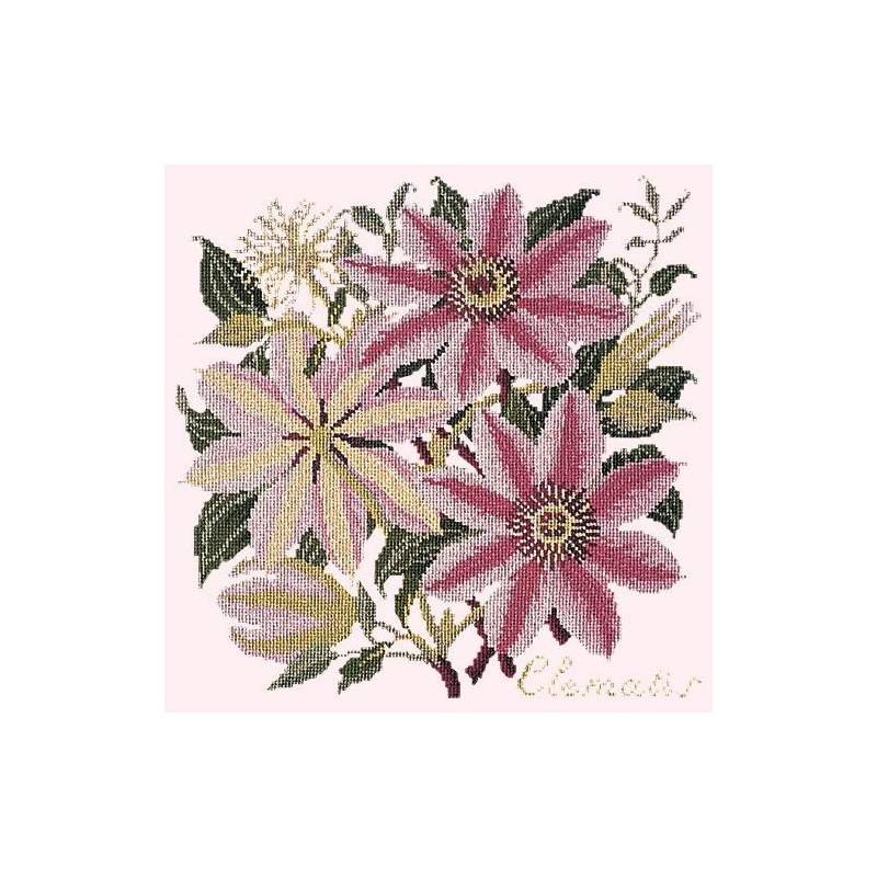Elizabeth Bradley, Climbing Flower, CLEMATIS - 16x16 pollici Elizabeth Bradley - 12